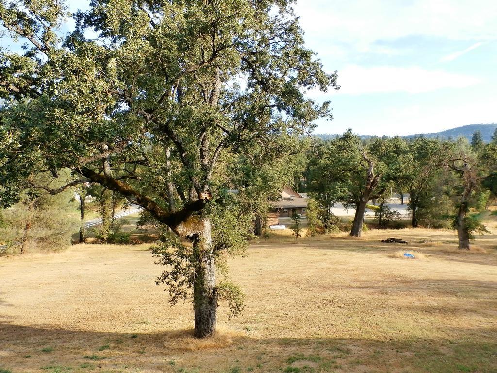New Charming 2 Bedrooms Unit Close To Everything Oakhurst Eksteriør billede